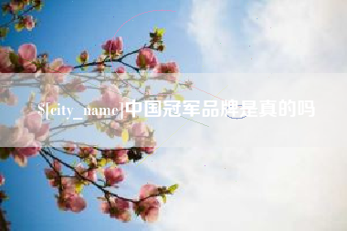 咸宁中国冠军品牌是真的吗
