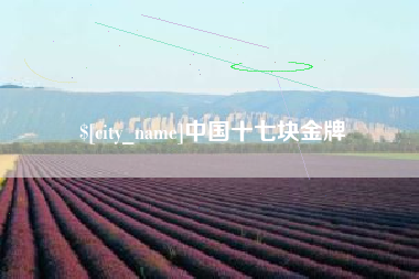 咸宁中国十七块金牌