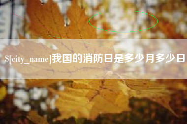 咸宁我国的消防日是多少月多少日