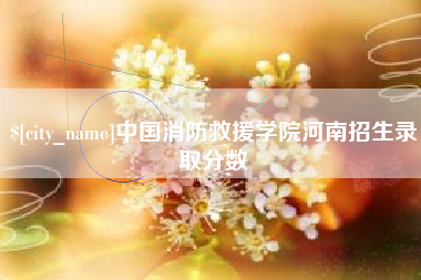 咸宁中国消防救援学院河南招生录取分数