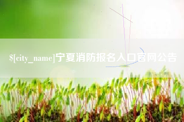 咸宁宁夏消防报名入口官网公告