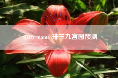 咸宁排三九宫图预测
