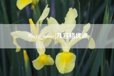 咸宁九宫格优点