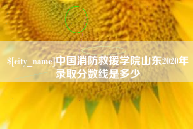 咸宁中国消防救援学院山东2020年录取分数线是多少