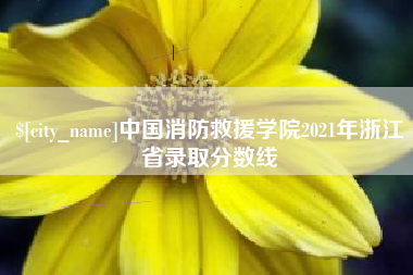 咸宁中国消防救援学院2021年浙江省录取分数线