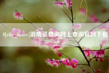 咸宁消防证查询网上查询官网下载