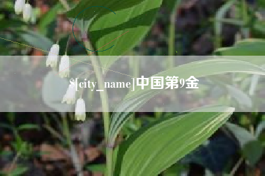 咸宁中国第9金