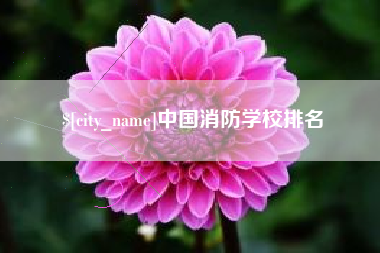 咸宁中国消防学校排名