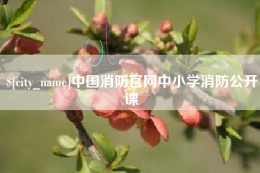 咸宁中国消防官网中小学消防公开课