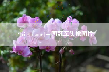 咸宁中国冠军头像图片