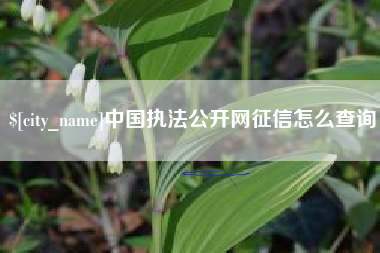 咸宁中国执法公开网征信怎么查询