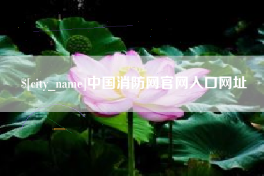 咸宁中国消防网官网入口网址