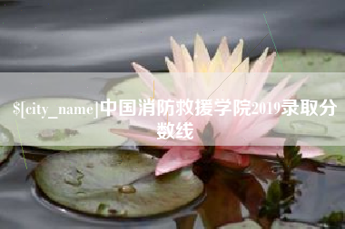 咸宁中国消防救援学院2019录取分数线