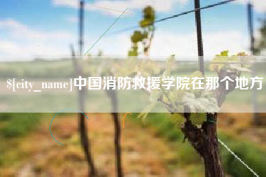 咸宁中国消防救援学院在那个地方