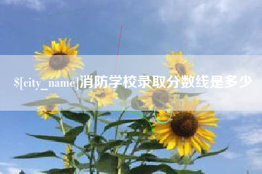 咸宁消防学校录取分数线是多少