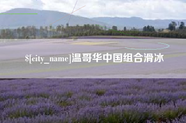 咸宁温哥华中国组合滑冰