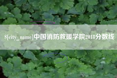 咸宁中国消防救援学院2018分数线