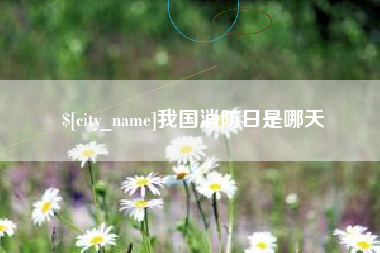 咸宁我国消防日是哪天