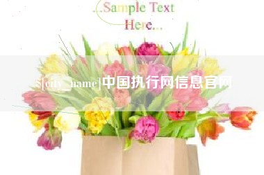 咸宁中国执行网信息官网