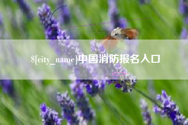咸宁中国消防报名入口