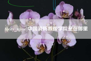 咸宁中国消防救援学院是在哪里