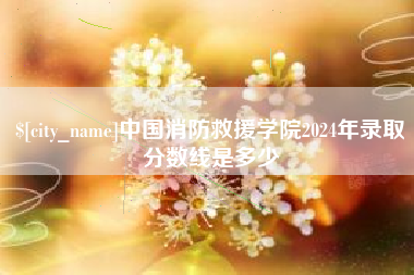 咸宁中国消防救援学院2024年录取分数线是多少