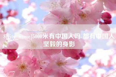 咸宁5000米有中国人吗-都有中国人坚毅的身影