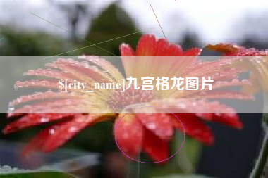 咸宁九宫格龙图片