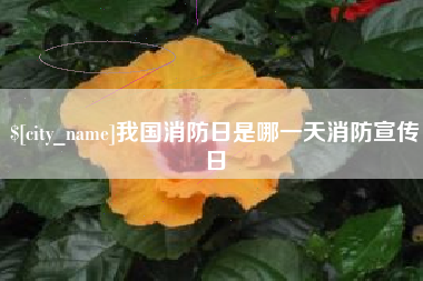 咸宁我国消防日是哪一天消防宣传日