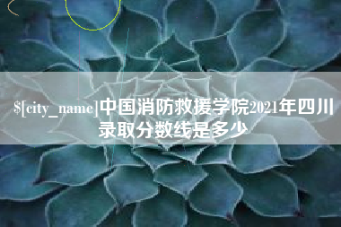 咸宁中国消防救援学院2021年四川录取分数线是多少