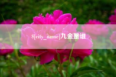 咸宁九金是谁