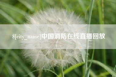 咸宁中国消防在线直播回放