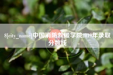 咸宁中国消防救援学院2019年录取分数线