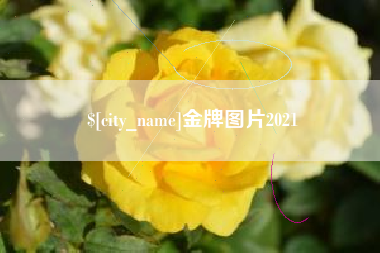 咸宁金牌图片2021