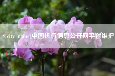 咸宁中国执行信息公开网平台维护