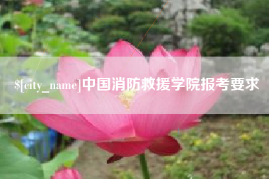 咸宁中国消防救援学院报考要求