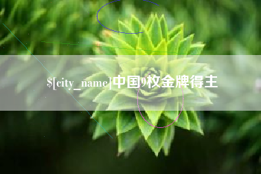 咸宁中国9枚金牌得主