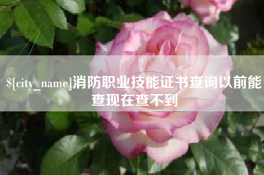 咸宁消防职业技能证书查询以前能查现在查不到