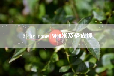 咸宁5000米及格成绩