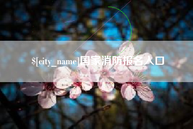 咸宁国家消防报名入口