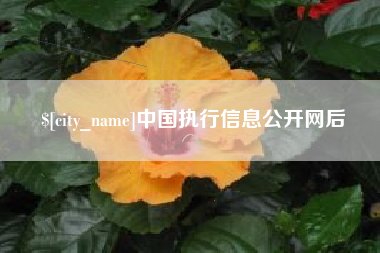 咸宁中国执行信息公开网后