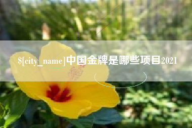 咸宁中国金牌是哪些项目2021
