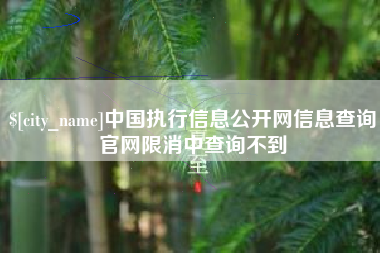 咸宁中国执行信息公开网信息查询官网限消中查询不到