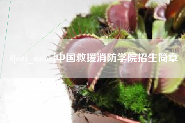 咸宁中国救援消防学院招生简章