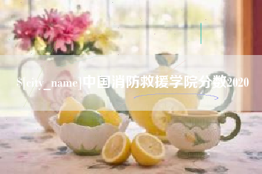 咸宁中国消防救援学院分数2020