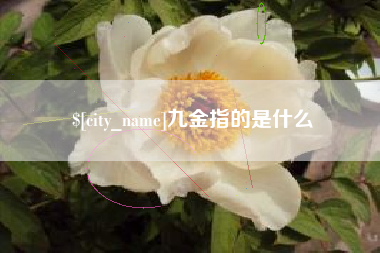 咸宁九金指的是什么