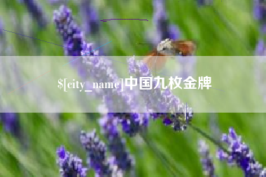 咸宁中国九枚金牌