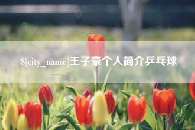 咸宁王子豪个人简介乒乓球
