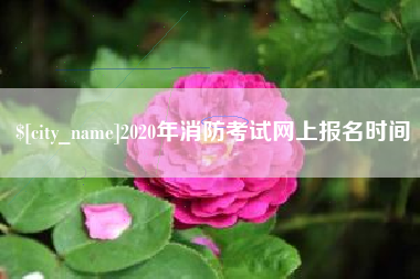咸宁2020年消防考试网上报名时间