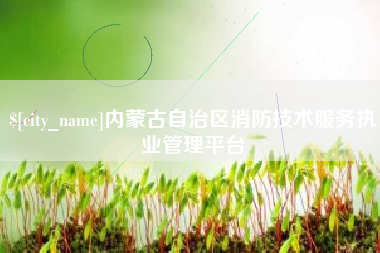 咸宁内蒙古自治区消防技术服务执业管理平台